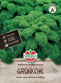 Grünkohl mit kräftigen, gekrausten Blättern, frisch geerntet, ab Oktober erhältlich.