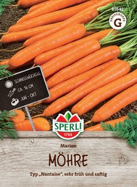 Bunte Möhren mit grünen Blättern auf Erde, mit Schild und Marke Sperli, frühe Sorte, ca. 16 cm lang.