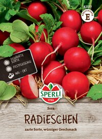 Radieschen mit grünem Laub und roter Knolle auf Holzuntergrund, Pflanzenetikett sichtbar.