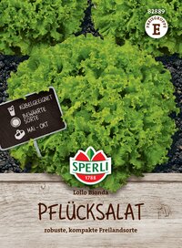 Grüner Pflücksalat auf Erde, Sparli Marke, logo, Produktname, Text und Anbausymbole.
