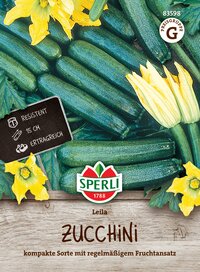 Zucchini, grün, länglich, auf gewaschenem Holz, mit gelber Zucchiniblüte, auf Blatt, daneben Schild.