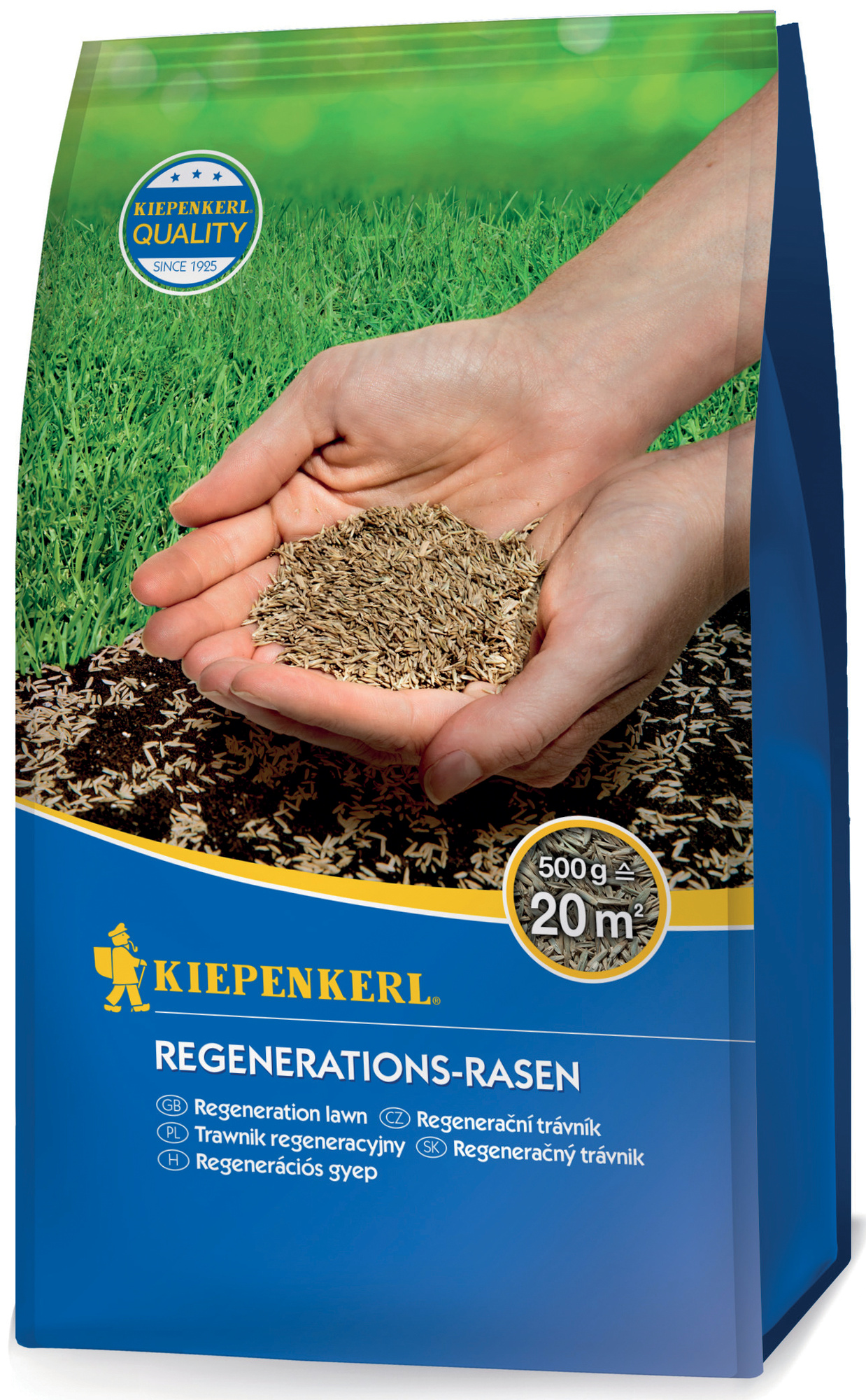 Hand hält grasähnliches Samenmaterial vor grünem Rasen, Verpackung für Regerations-Rasen.