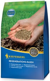 Hand hält grasähnliches Samenmaterial vor grünem Rasen, Verpackung für Regerations-Rasen.