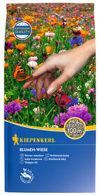 Boden mit bunten Blumen und einer Hand, die eine orangefarbene Schmetterlingsart berührt, im oberen Teil Verpackung.