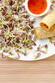 Mungobohnen, Frühlingsrolle mit Dip auf weißen Teller, Holzuntergrund