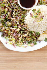 Sprossensalat mit Reis und Sojasauce auf weißem Teller auf Holzuntergrund.
