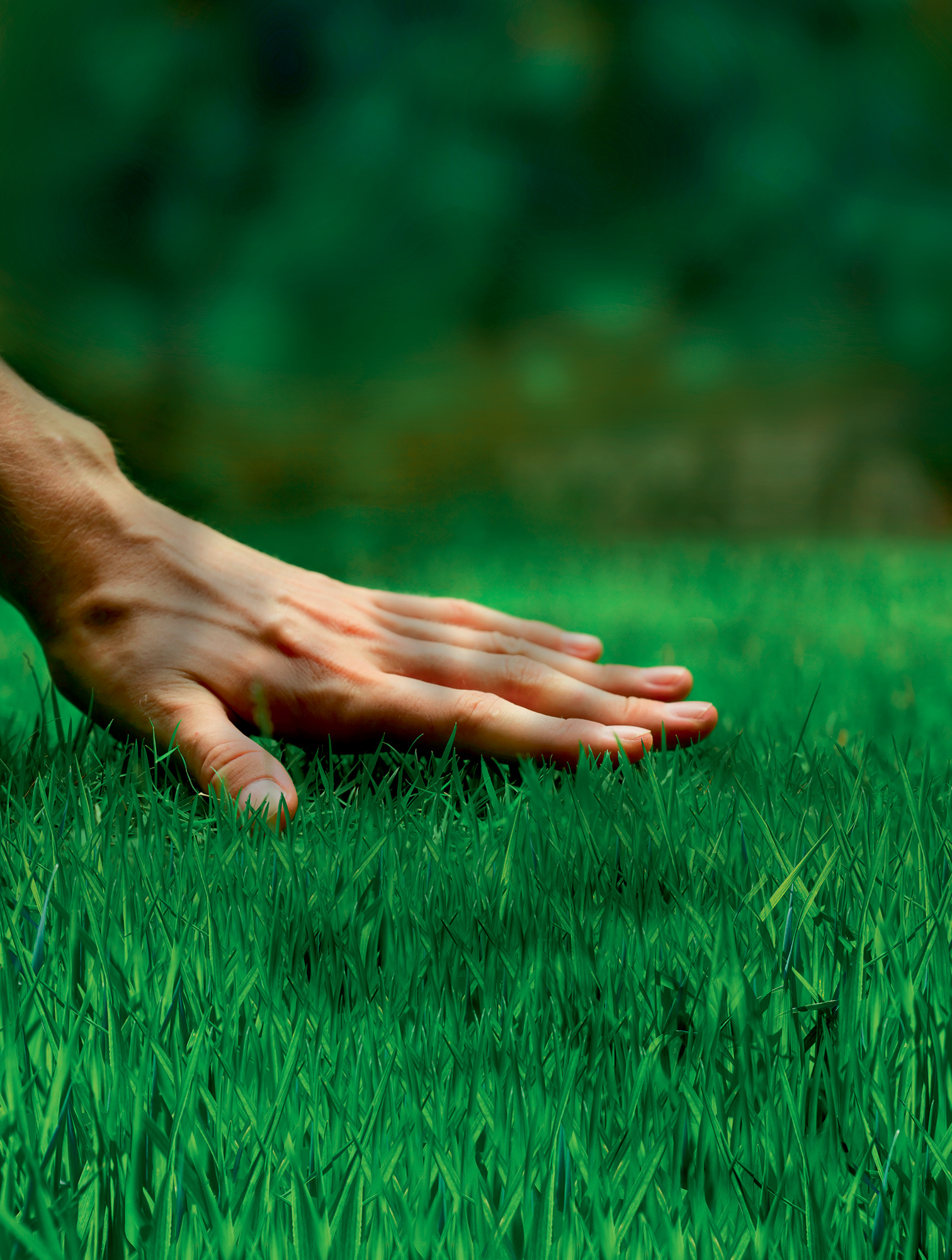 Hände berühren grüne Grasnarbe im Freien, Hintergrund ist unscharf und grün.