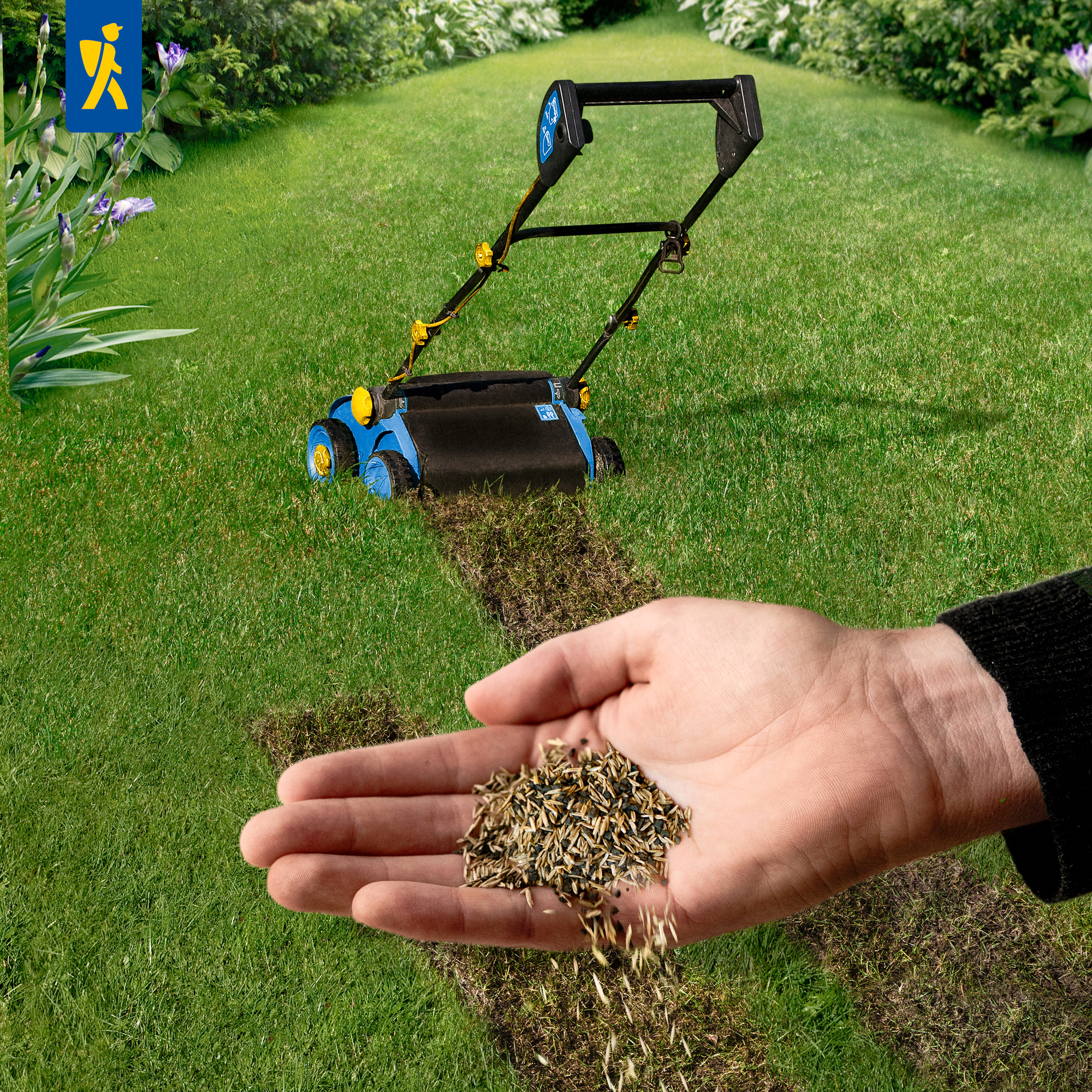 Hand hält Samen über frisch gegrabene Erde auf einer Rasenfläche, daneben Rasenmäher im Hintergrund.