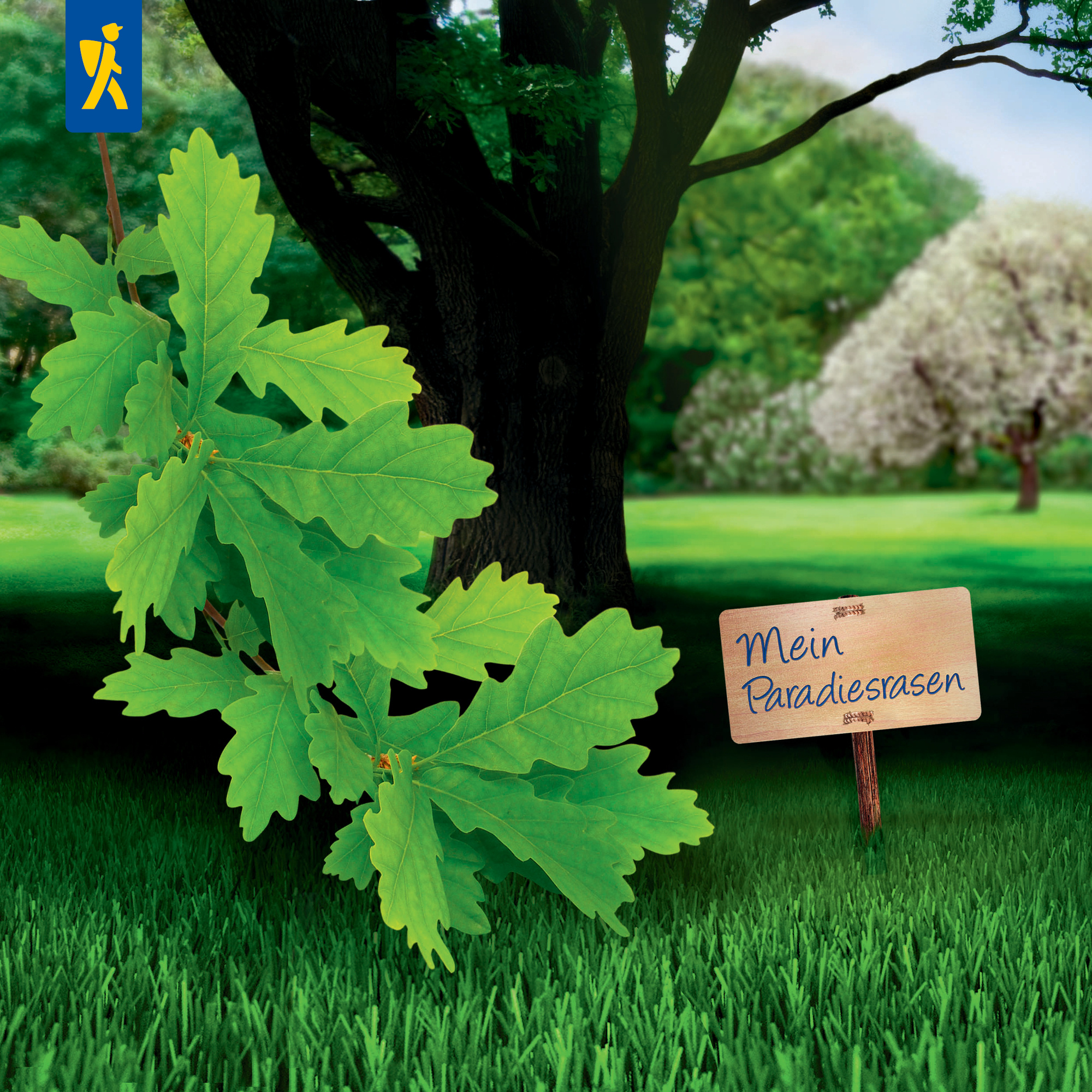 Große grüne Blätter vor einem Baum mit dunklem Stamm, grasbewachsener Boden, kleines Schild mit Aufschrift "Mein Paradiesrasen"