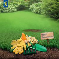 Gartenwerkzeuge, Handschuhe und ein Schild mit "Mein Paradiesrasen" auf einem frisch gemähten Rasen.