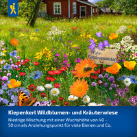 Bunte wilde Blumen- und Kräuterwiese mit Schmetterlingen, Biene, Schild mit "Mein Nützlingsparadies". Haus im Hintergrund.