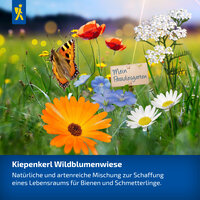 Bunte Blumen in einem Garten mit einem Schmetterling, einem kleinen Schild und einem blauen Himmel im Hintergrund.