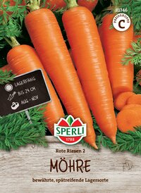 Vier große, orange Möhren mit grünen Blättern und einem Etikett, das Lagerfähigkeit bis 24 cm und Zeitraum August bis November angibt.