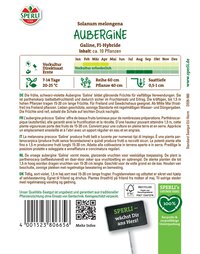 Bunte Auberginenpflanze mit grünen Blättern und langen Fruchtstengeln.