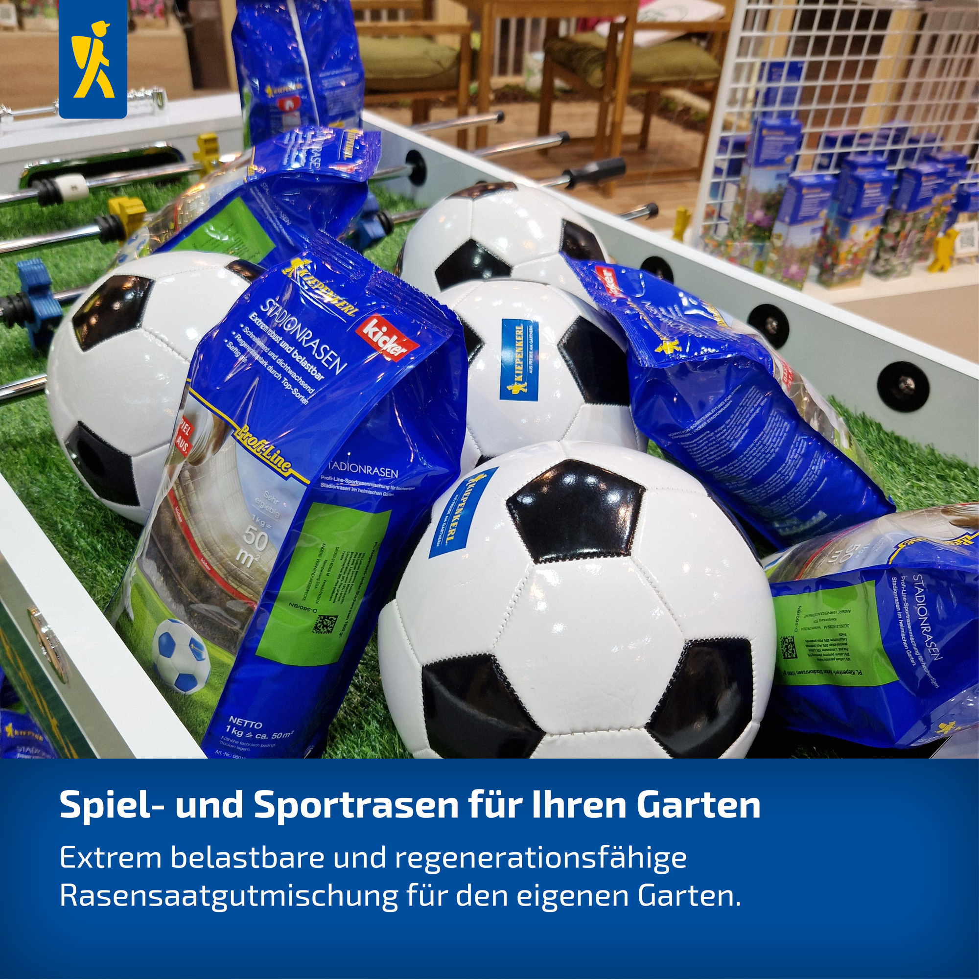 Spiel- und Sportrasen für den Garten mit Fußball und Rasensaatgut in blauen Verpackungen.