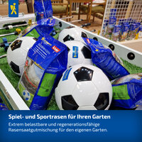 Spiel- und Sportrasen für den Garten mit Fußball und Rasensaatgut in blauen Verpackungen.