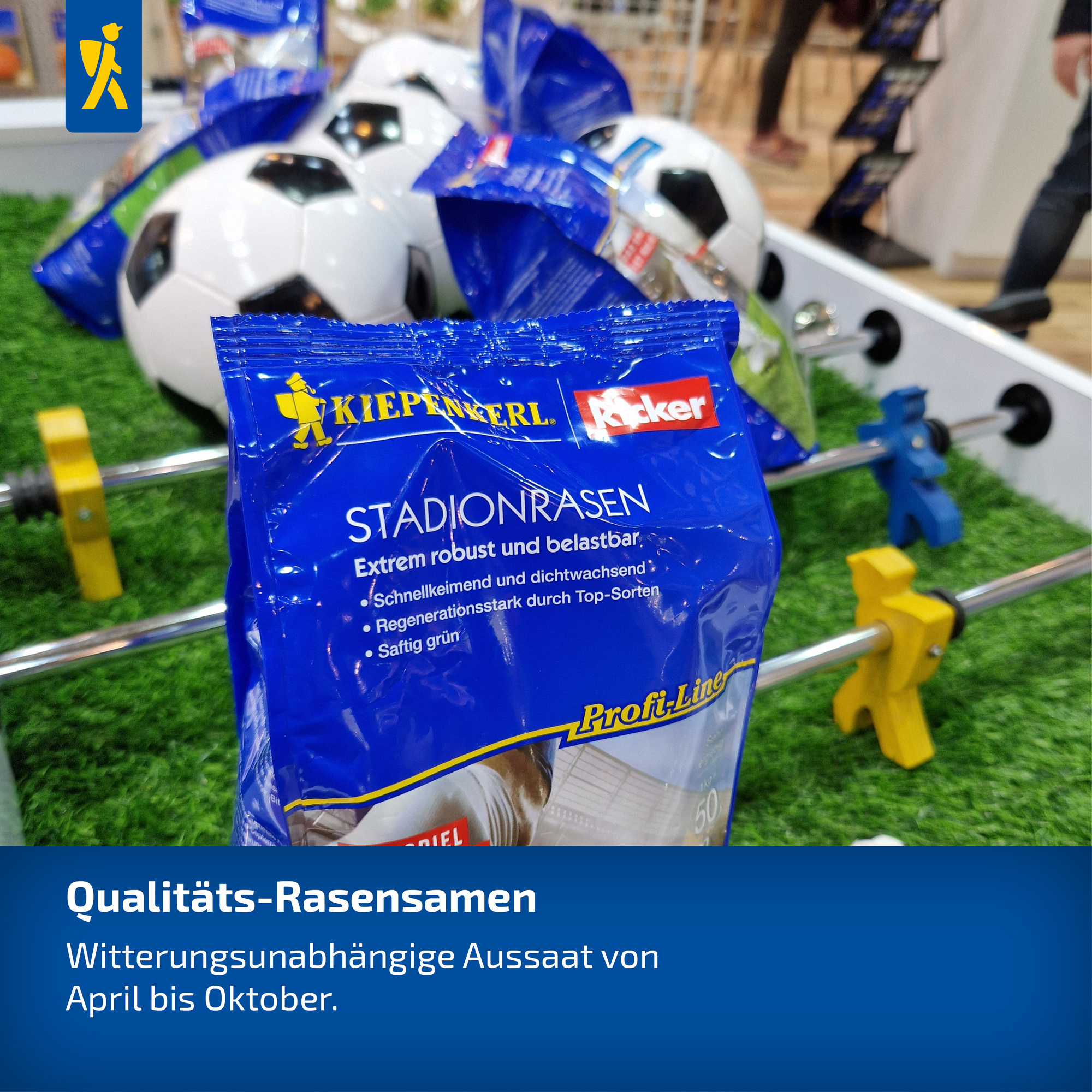 Paket mit Rasensamen vor Fußball mit mehreren Bällen, auf künstlichem Rasen, im Hintergrund Menschen.
