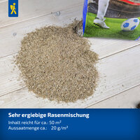 Haufen Rasensaatgut auf Holzboden neben Rasensamentüte, Text auf blauem Hintergrund.