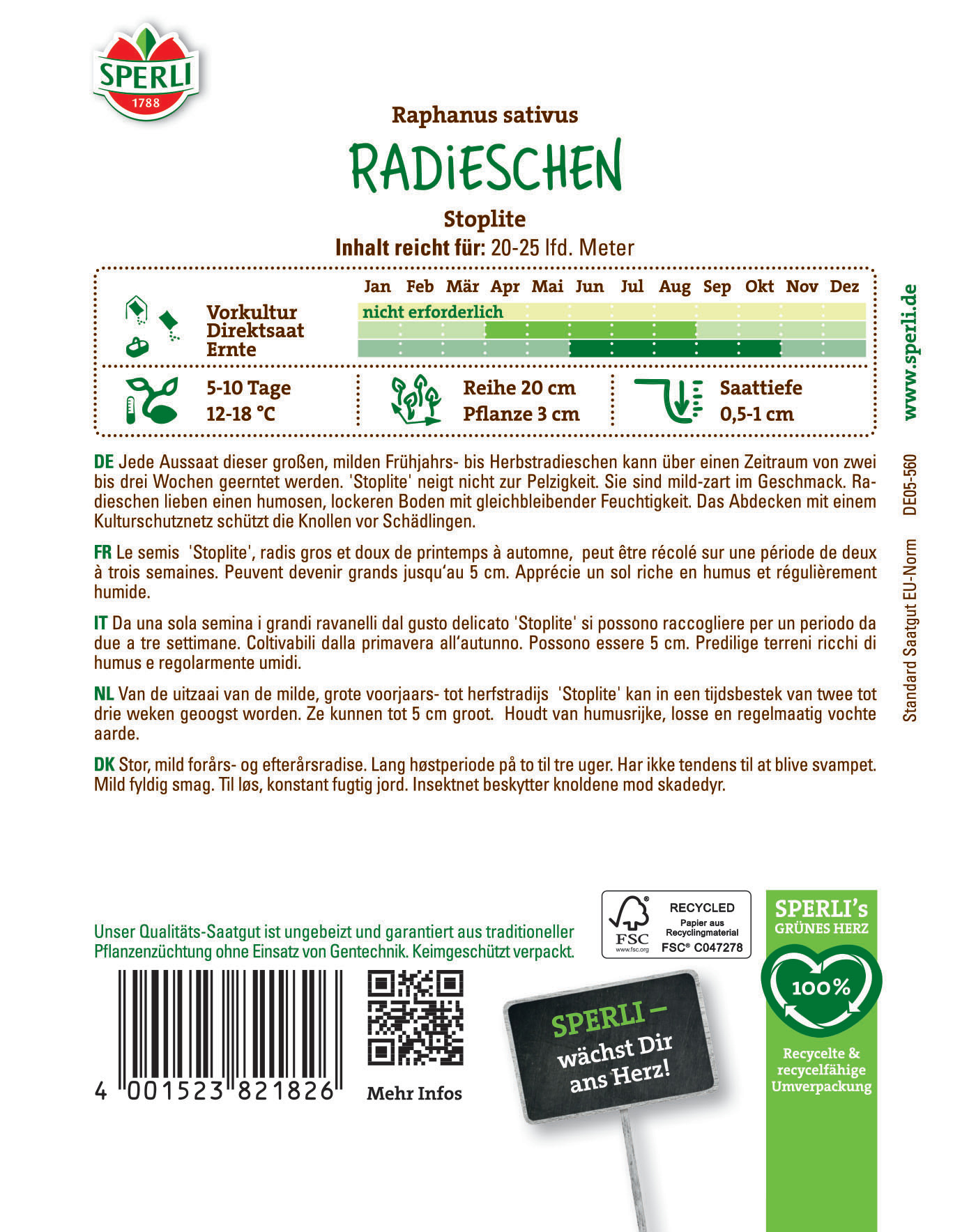 Radieschen, Radieschen Stopplichte, mit grünen Blättern, im Boden stehend, auf weißem Hintergrund.