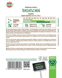 Radieschen, Radieschen Stopplichte, mit grünen Blättern, im Boden stehend, auf weißem Hintergrund.