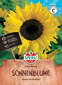 Großes gelbes Sonnenblumenbild mit schwarzem Zentrum, grünen Blättern und Produktinformationen.