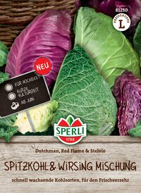 Bunte Kohlköpfe auf Korb, grüner, roter und lila Kohl, Beschriftung, Logo, Holzoptik, Natur.