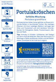 Pflanzenetikett für Portulakröschen mit Angaben zu Blüte, Keimung, Abstand und Wachstum Zeitraum.