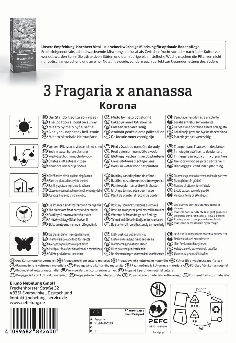 Anleitung und Produktinformationen für Hochbeet Vital mit Ananas, Text in mehreren Sprachen, Symbolen für Pflanzenpflege.