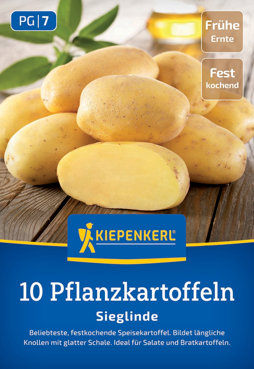 Mehrere gelbe Pflanzkartoffeln auf Holz, eine halbe Kartoffel, grüne Blätter und ein Glas Pflanzenöl.
