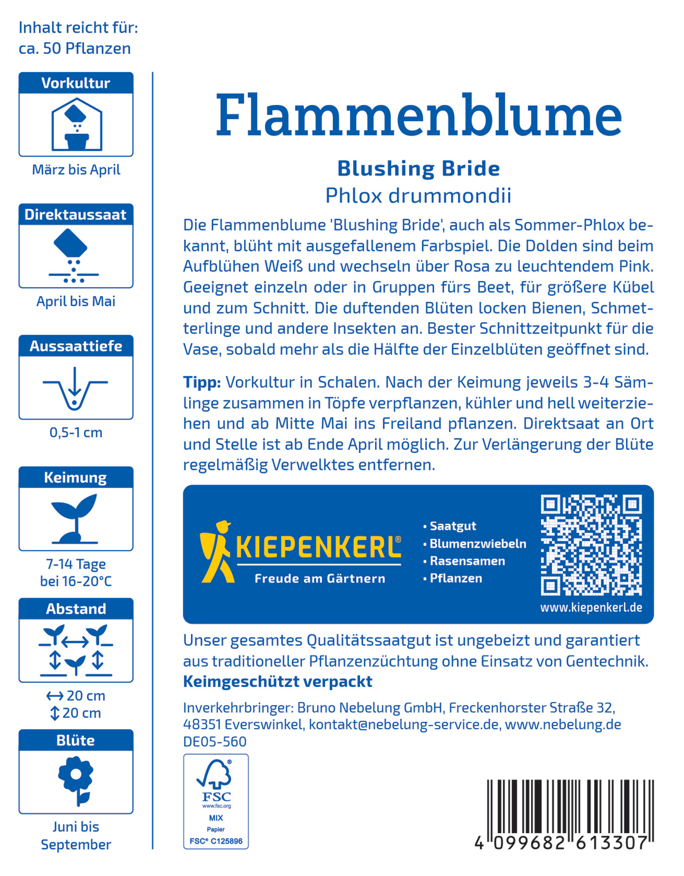 Blumenblüte 'Blushing Bride' mit weißen und rosa Blüten, wächst von März bis April, 0,5-1 cm tief, 7-14 Tage Blütezeit.