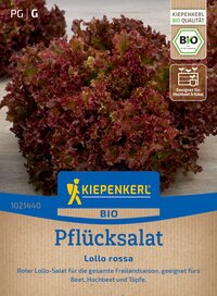 Rotfleckiger Pflücksalat Lollo Rossa auf Verpackung mit blauer Kiepenkerl Marke.