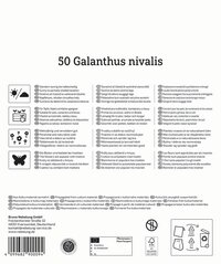 Sonnenbestrahlte, teilweise beschattete Standorte mit 50 Galanthus nivalis, manchmal mit Laub.