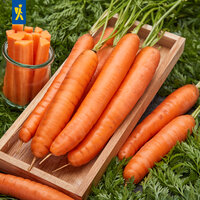 Möhren liegen auf Holztablett auf einem Untergrund aus Grün, als Deko ein Glas mit in Stifte geschnittenen Möhren