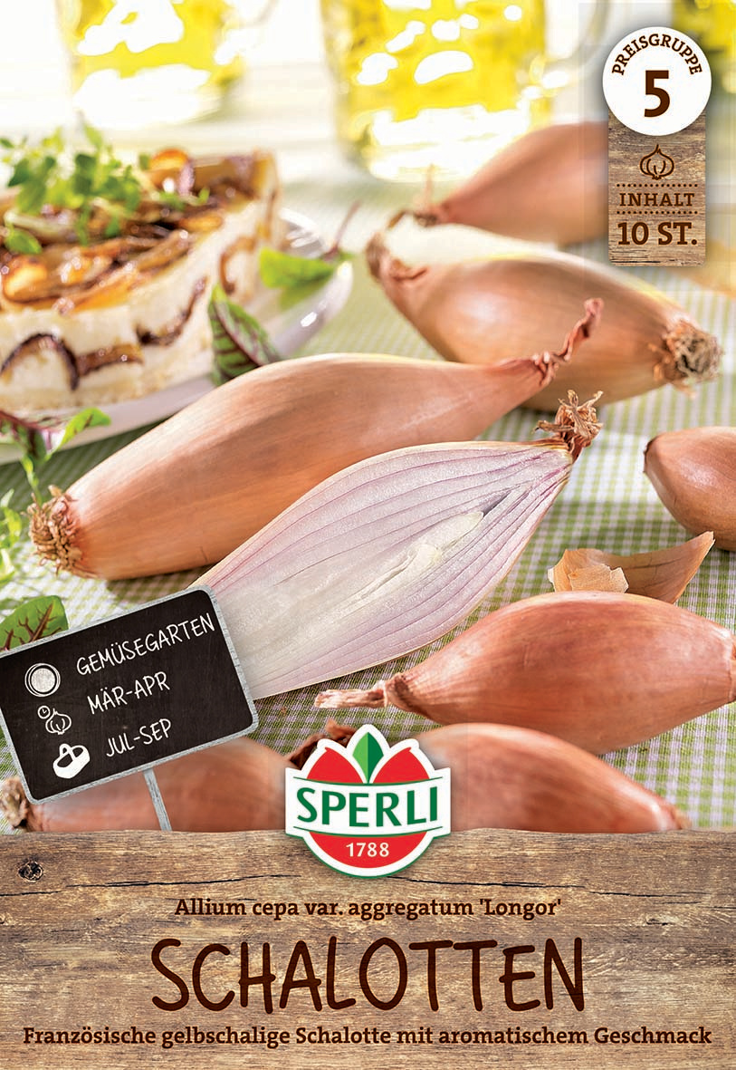 Französische gelbschalige Schalotte mit aromatischem Geschmack auf einem Tisch mit anderem Gemüse und einem Stück Quiche.