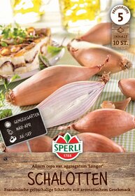 Französische gelbschalige Schalotte mit aromatischem Geschmack auf einem Tisch mit anderem Gemüse und einem Stück Quiche.